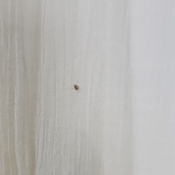 BCX Sheer White Pants - Picture 2 of 11